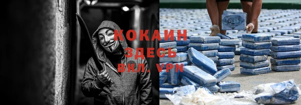 дмт Алексин