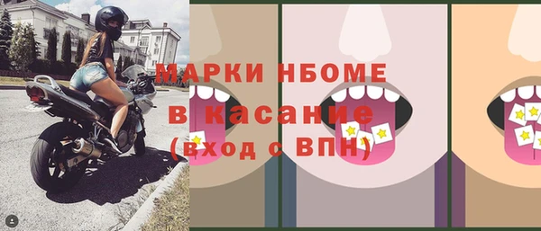 ECSTASY Алзамай