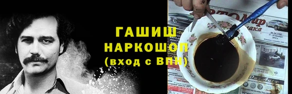 ECSTASY Алзамай