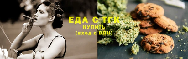 ECSTASY Алзамай