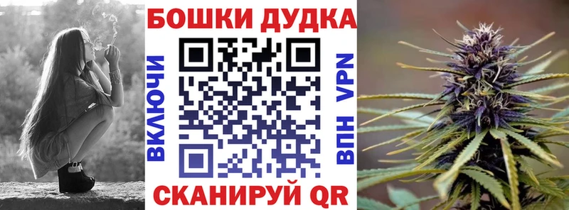 Купить  Сясьстрой  Каннабис ГИДРОПОН 